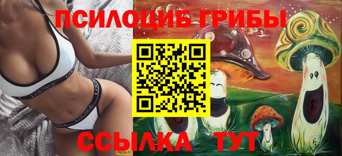 Усть-Джегута  Псилоцибиновые грибы прущие грибы  хочу   Вход с VPN 