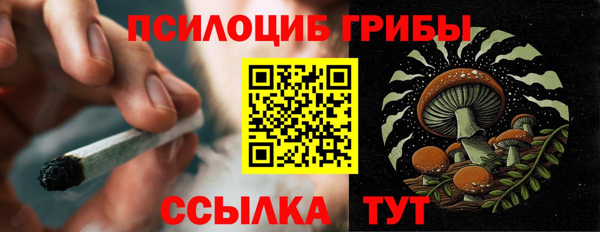 Галлюциногенные грибы MAGIC MUSHROOMS Усть-Джегута
